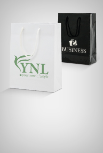 Laminierte Papiertasche gro
