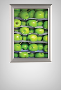 Opti Snap-Frame 25 mm Silber